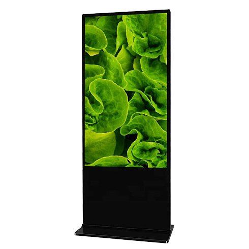 Vormatic 49" LCD Display напольный внутренний (Android 11, No Touch, 350 nit, Стационарный)