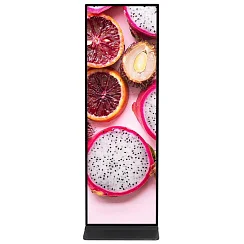 Vormatic 69" LCD Display напольный внутренний (Android 11, No Touch, 350 nit, Стационарный)