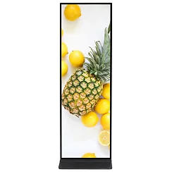 Vormatic 64" LCD Display напольный внутренний (Android 11, No Touch, 350 nit, Стационарный)